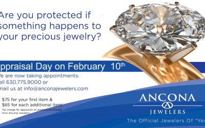 Appraisal Day February 10th