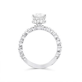 Round Diamond Station Engagement Ring Setting